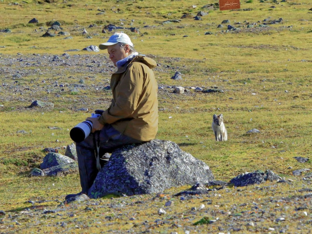 Polar Bears International's 2023-2024 News Magazine