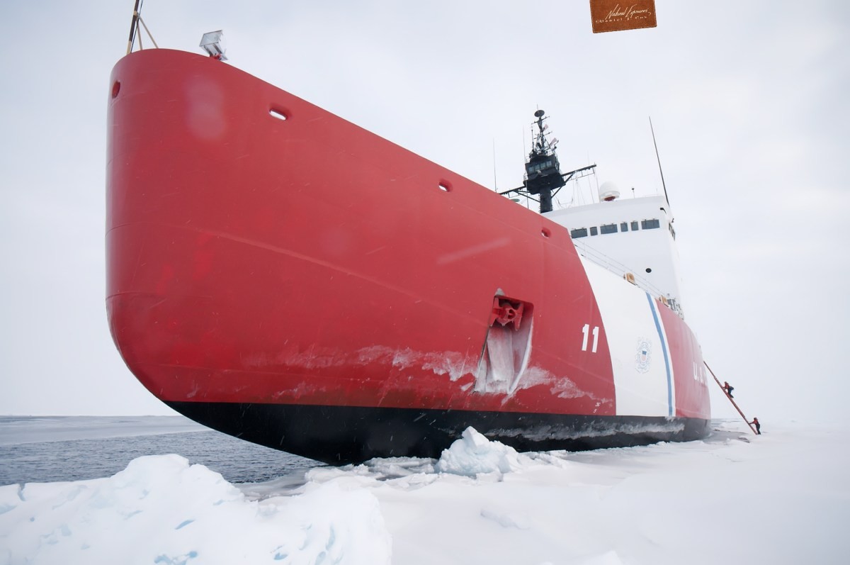 Arctic Sea Ice Day Save Our Sea Ice