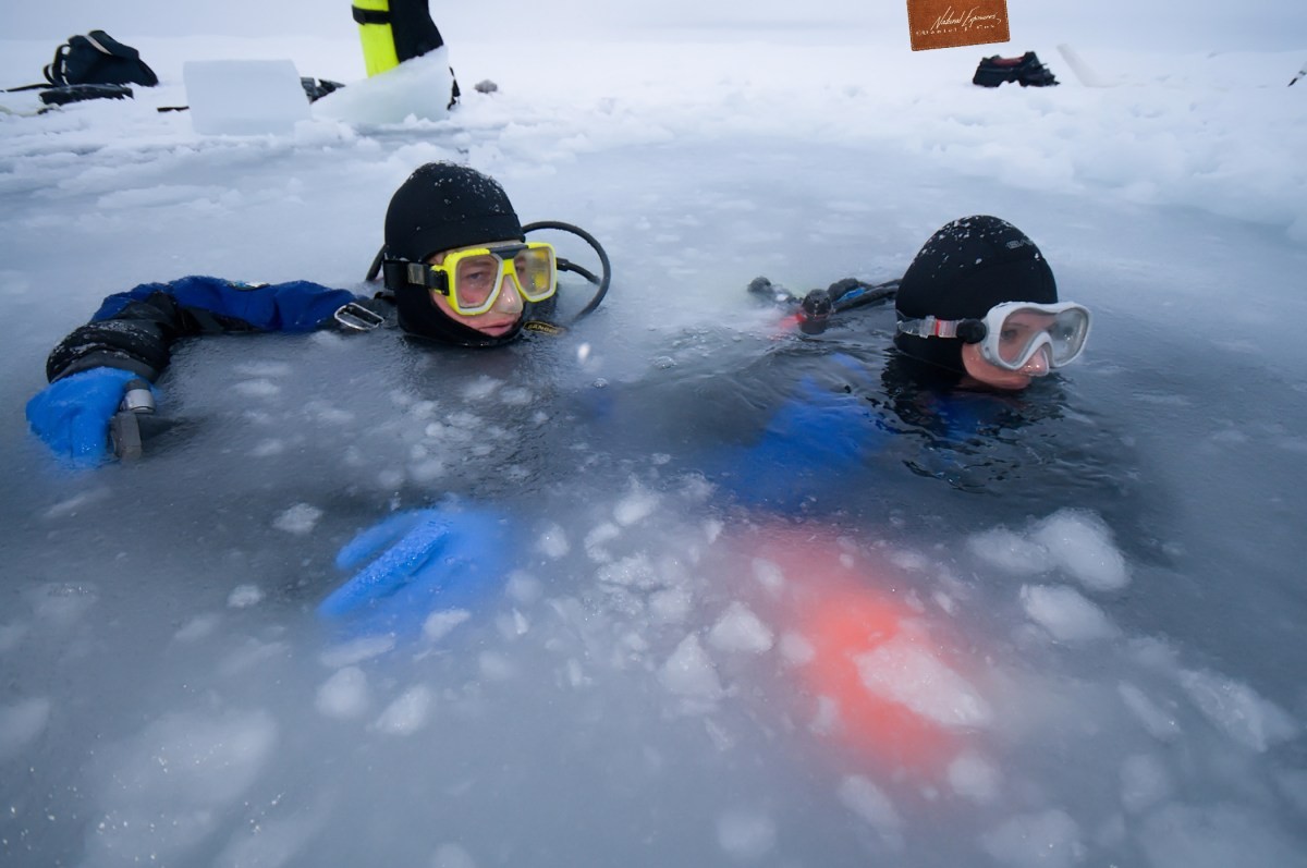 Arctic Sea Ice Day Save Our Sea Ice