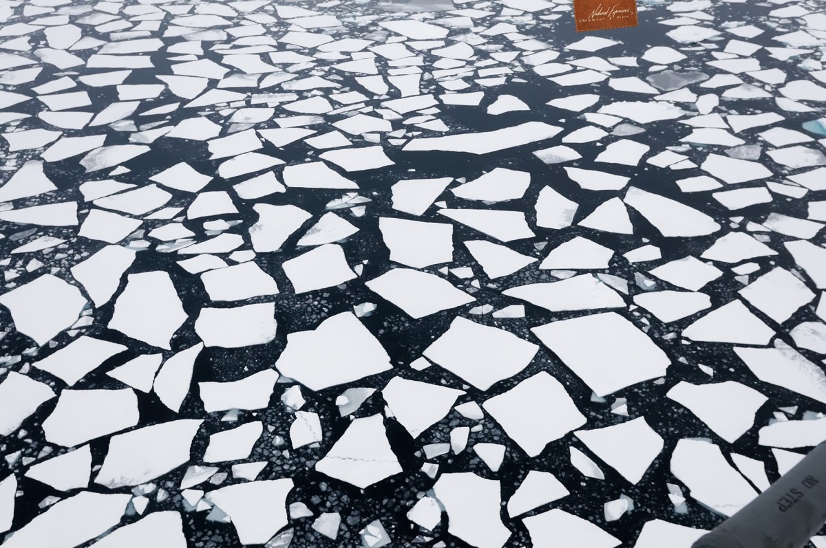 Arctic Sea Ice Day Save Our Sea Ice