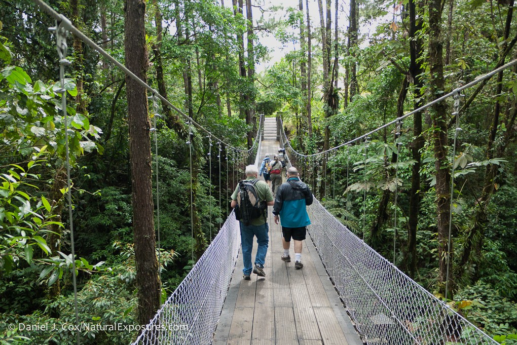 The Natural Exposures 2011 Costa Rica group enjoying the benefits of travel.