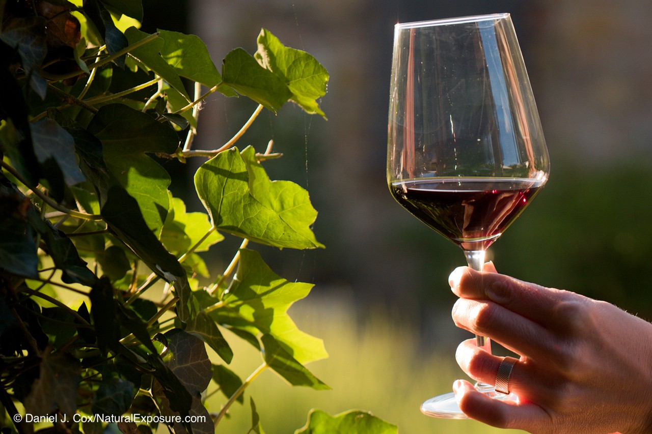 D744964, red, wine, glass, Italy