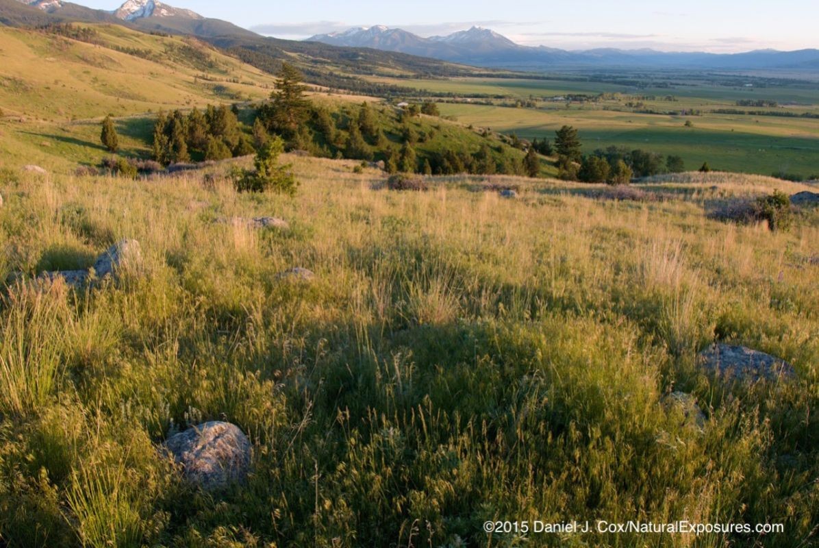 Evening light bathes Paradise Valley, Montana