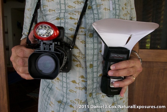 Here's a closeup of the Lumix GH4 with the 45mm macro and a headlamp attached for ease of Auto Focus.