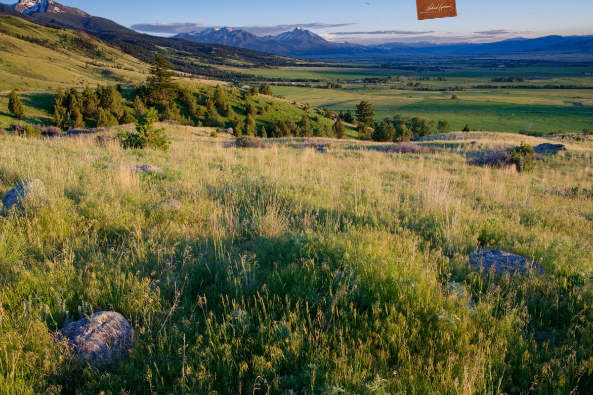 Greater Yellowstone Coalition buys a gold mine