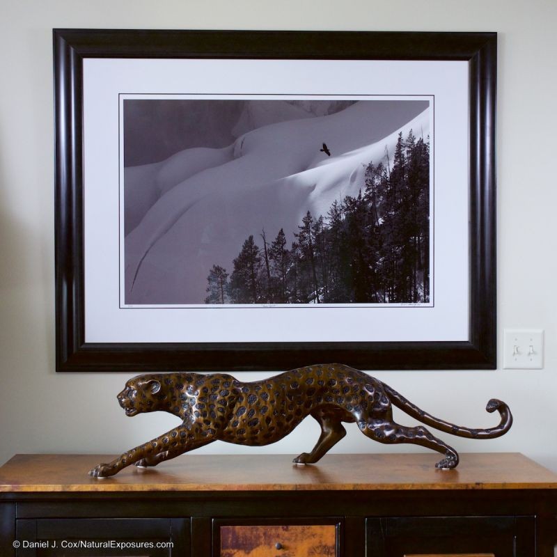 This image "Raven Spirit" is one of my Fine Art prints from the Yellowstone Collection. The image size is 24x36 inches and was shot with the Lumix GH4 and the Olympus 40-150mm F/2.8 lens. The details in this image are spectacular.