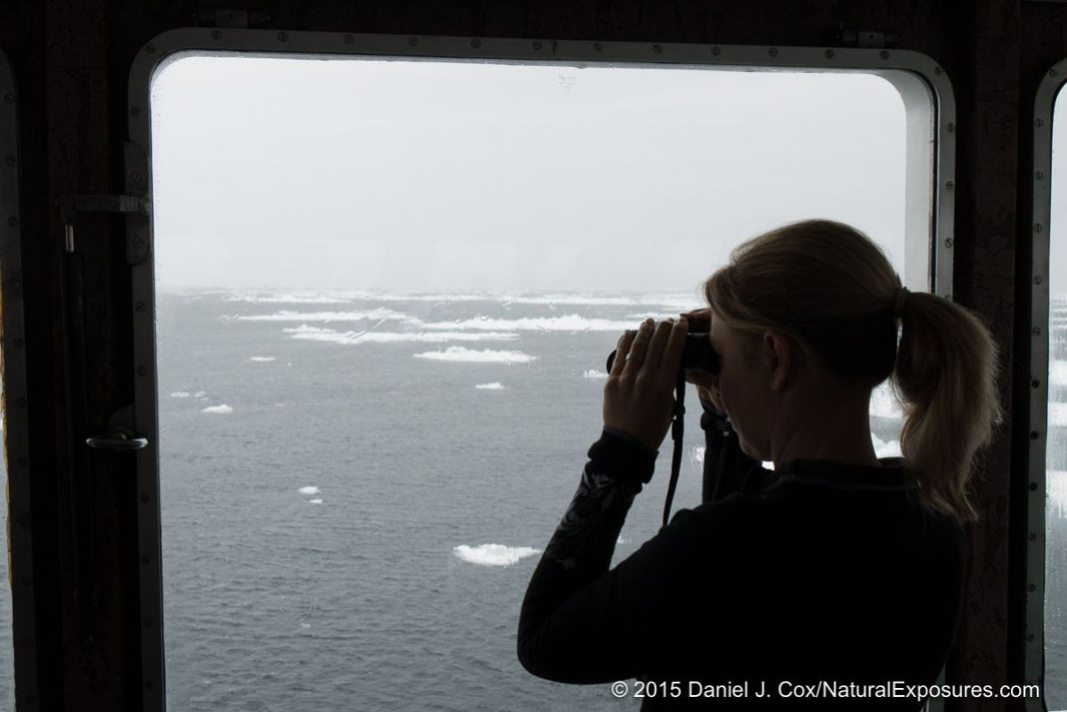 Tanya searching for polar bears as we get closer to the ice pack. Norway.