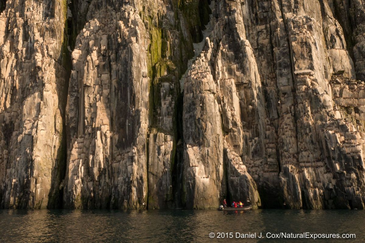 The cliffs of Alkefjellet are filled with hundreds of thousands of Brunich’s guillemots and other birds. Lumix G7 with 12-35mm F/2.8