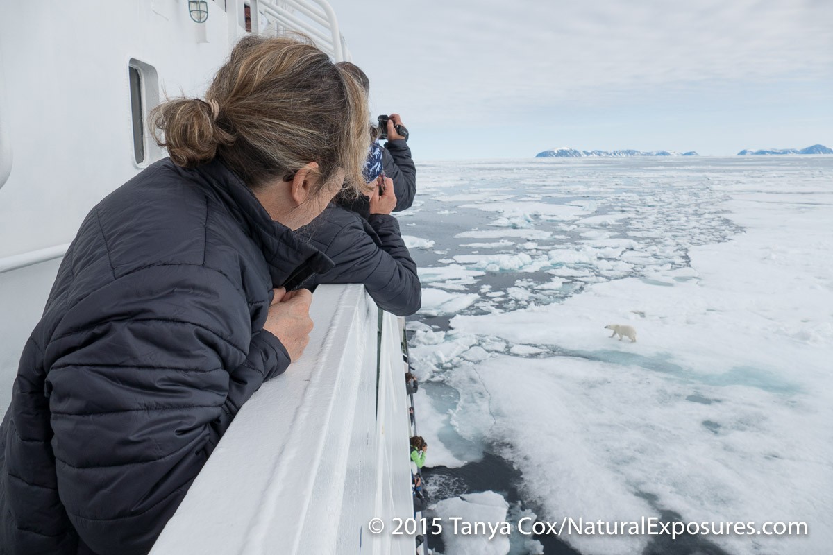 Our ship gets in to the ice for polar bears. Svalbard, Norway.