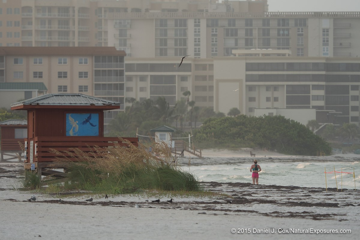 Sarasota Beach, Florida.