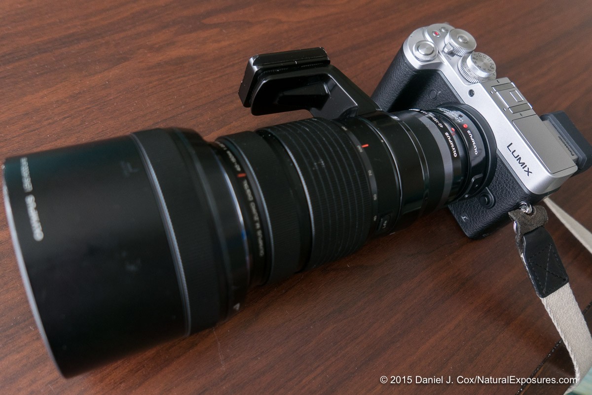 Panasonic's newly announced Lumix GX8 with my Olympus 40-1500mm F/2.8 and 1.4X teleconverter attached. I now have excellent IS with this Olympus lens. This will hold me until I can finally replace it all with the under development 100-400mm Leica/Lumix recently announced.