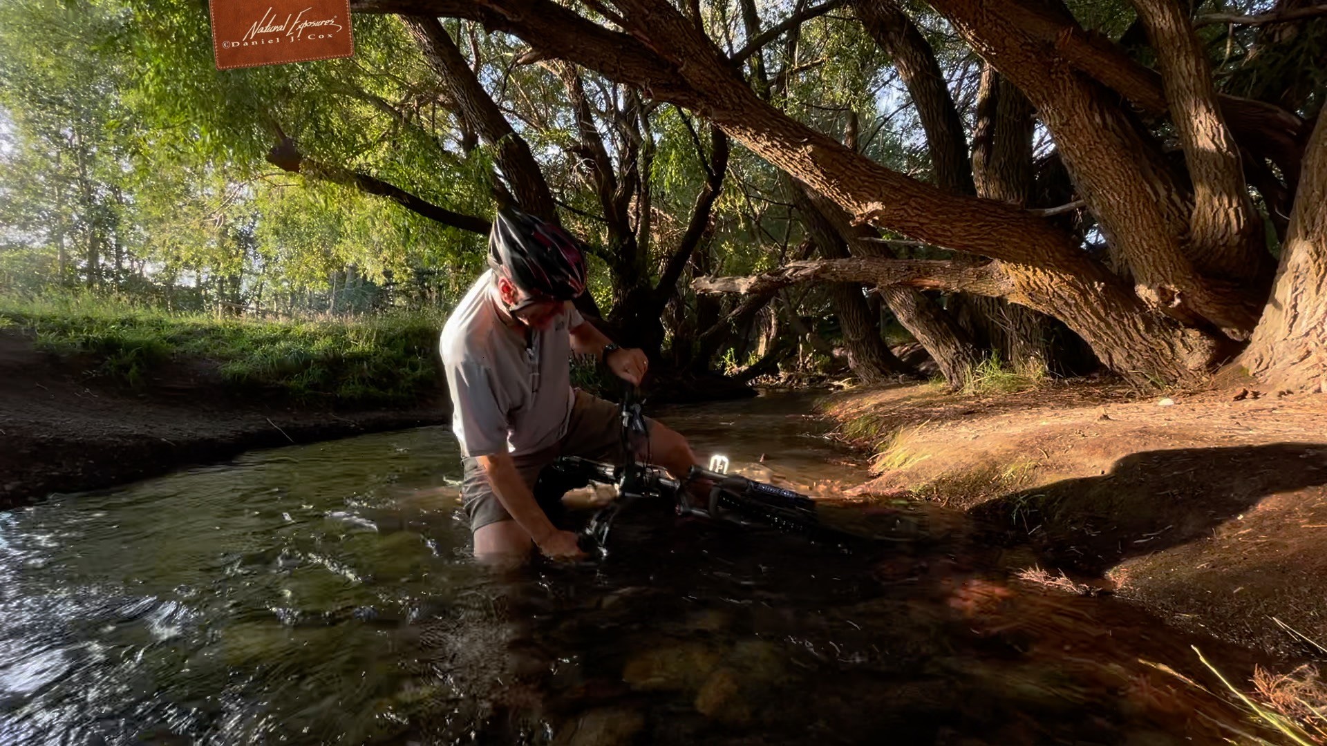 Tom Curley’s Passion For Professionals and Serious Enthusiasts Lives on at Lumix