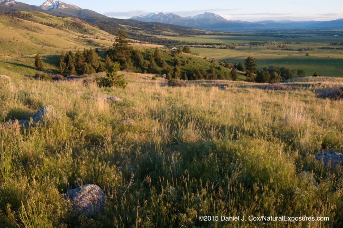 Evening light bathes Paradise Valley, Montana
