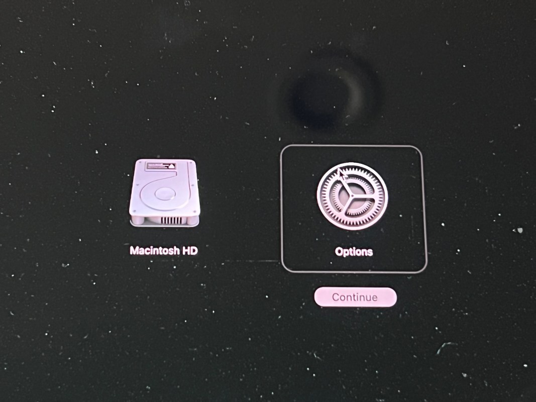 Firmware Update for Olympus Cameras
