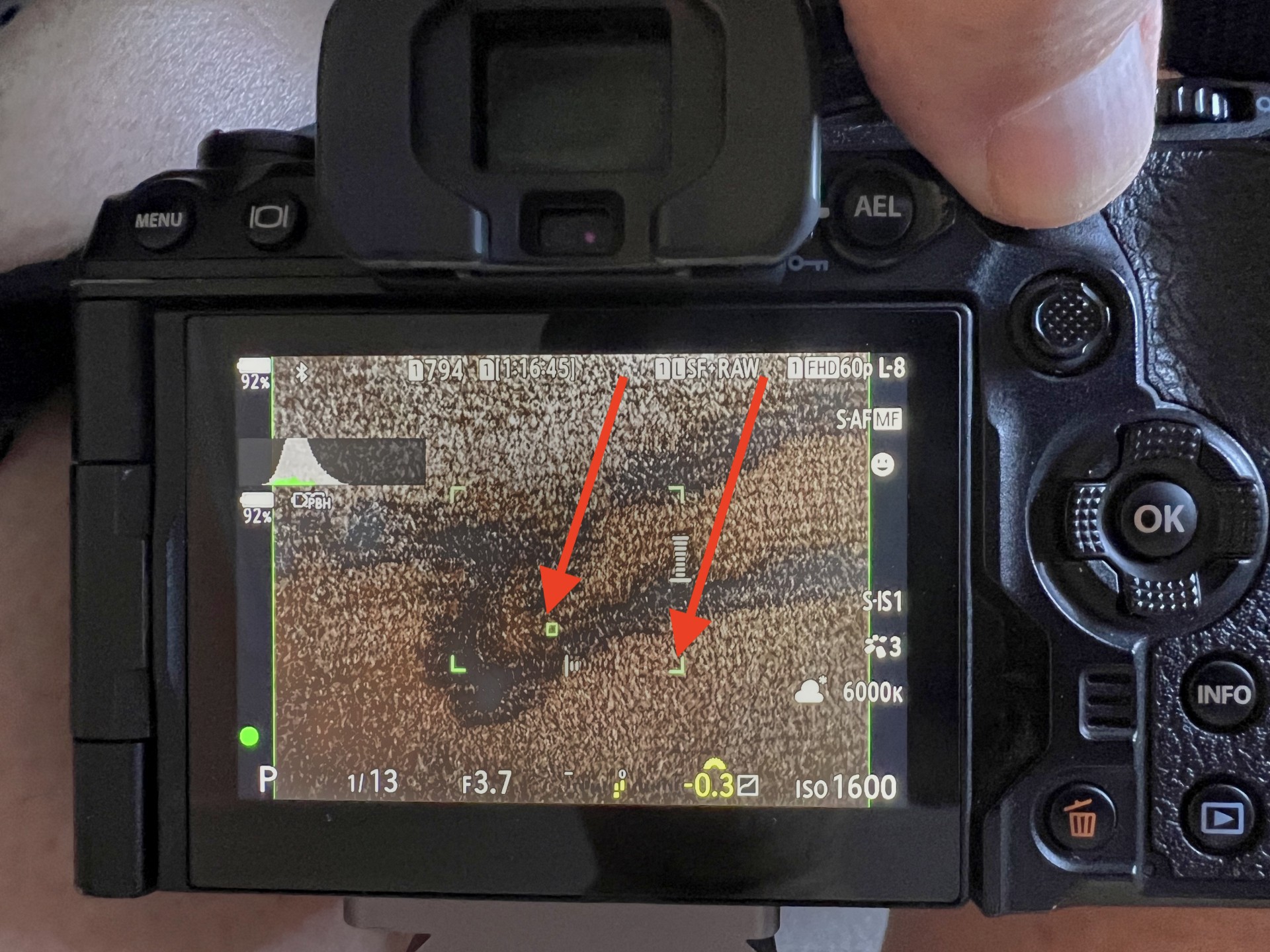 Excellent Information For Olympus Shooters