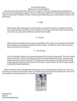 Justin Hui- Save the Polar Bears (2)