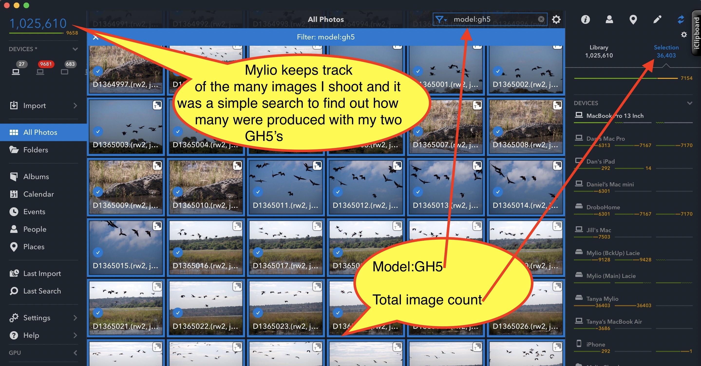 Mylio workflow