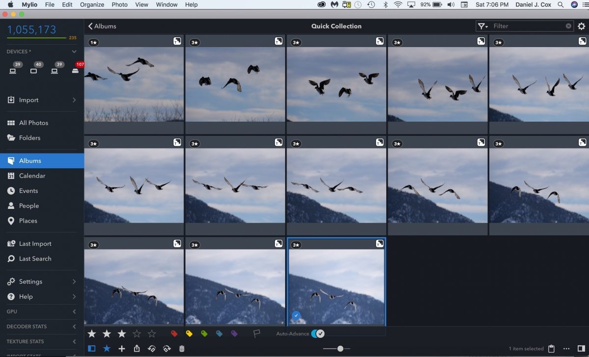 Leica 200mm with 1.4X and 2X teleconverters Lumix G9, birds in flight, BIF