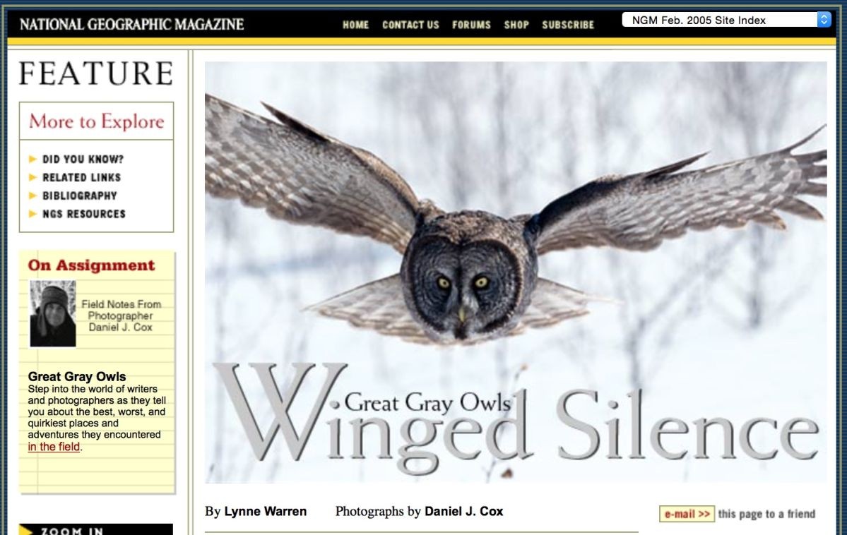 Only the images in the world make the pages of National Geographic. I studied this magazine for two decades before I was fortunate enough to grace their pages. Click here to see my story on Great Gray Owls