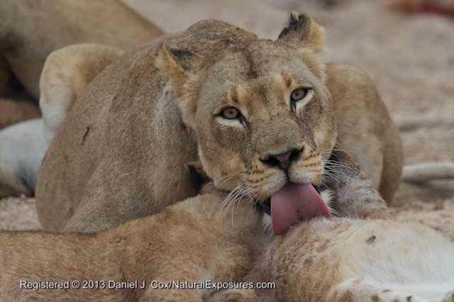 South Africa, Day 2