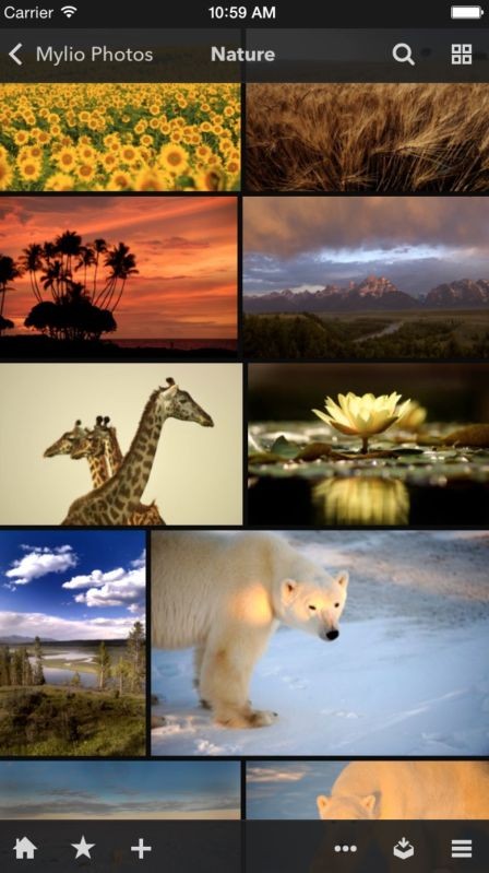 Mylio on your iPhone