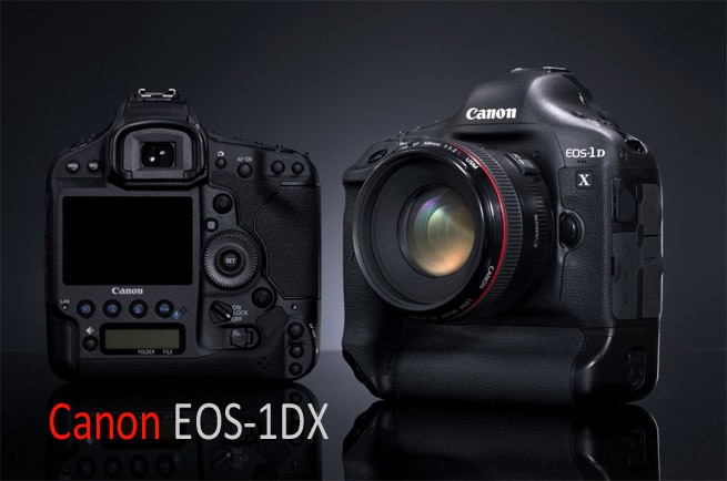 Canon EOS 1DX Firmware Update Released