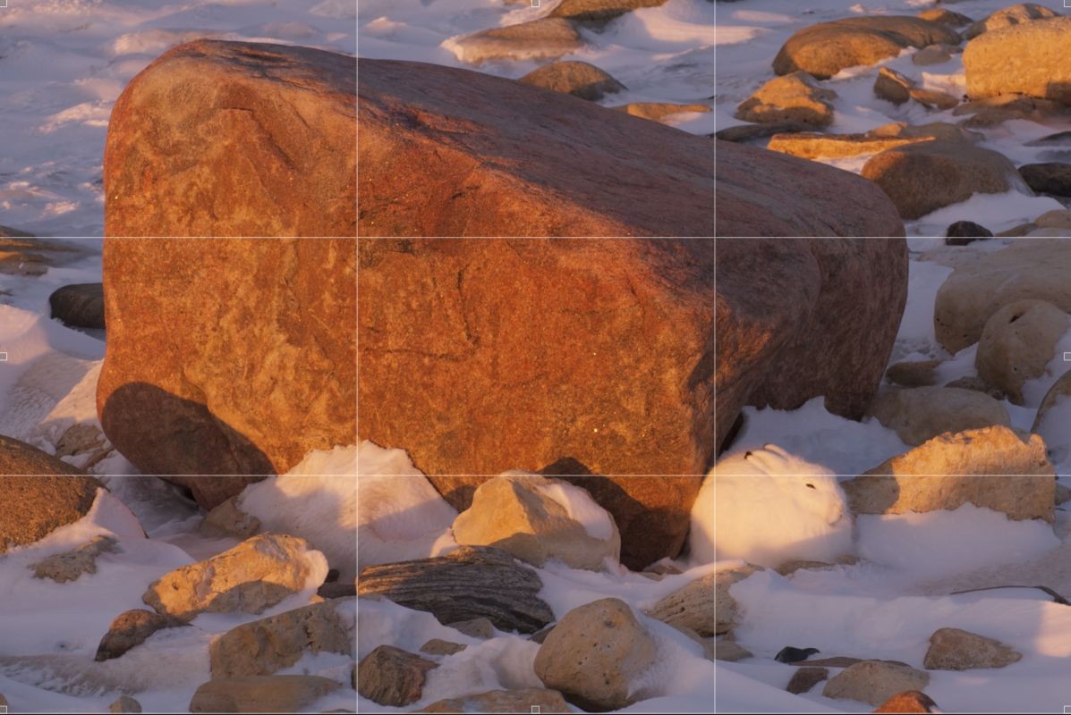 Here's another example of the Rule of thirds with the subject (an arctic hare) as an overall small part of the scene. The beautiful rocks, light and other elements make this image interesting even thought the arctic hare is just one of many elements.