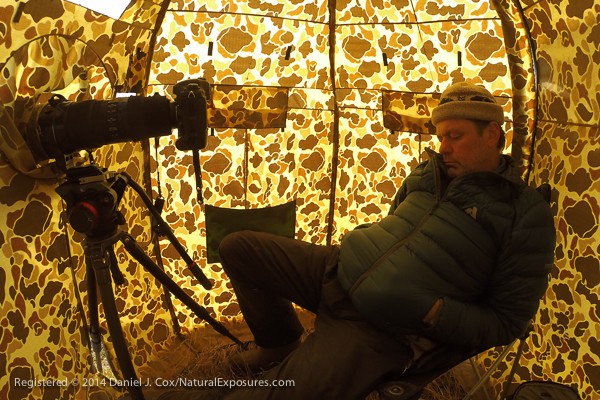 Tings can get pretty boring when you spend up to twelve hours a dray in a hide. I dozed off for a short period and my remote camera set to document inside the hide fought me snoozing. Good thing I work for myself. GoPro Hero Black edition.