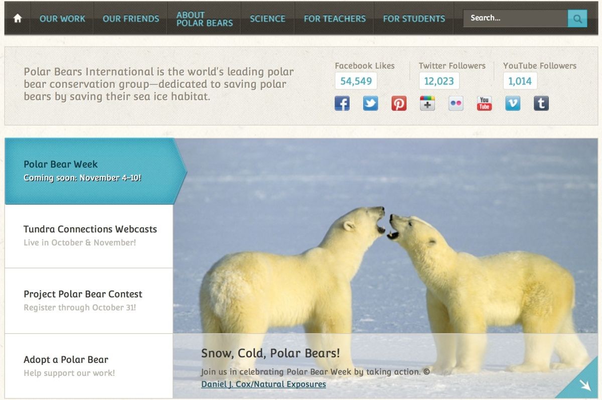 Visit PBI's Tundra Connection web site to see the amazing list of web casts highlighting the arctic and the animals such as the polar bear that live there.