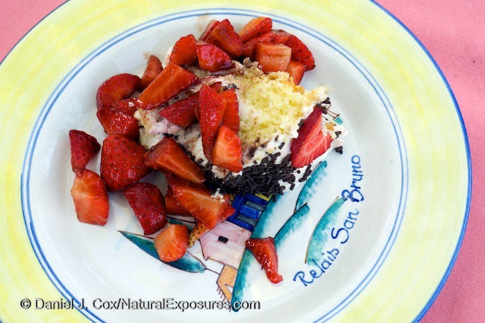 An Italian version of strawberry shortcake served at our Tuscan villa Realis San Bruno produced with local berries from farmers supporting the Agritourism in the Tuscany region. GH4 with Leica Nocticron 42.5mm F/1.2