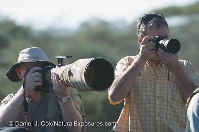 On the left is a Natural Exposure's Explorer shooting a Canon 600mm F/4. On the right is me shooting the Lumix GH3 with 100-300mm F/4-5.6 zoom lens. In the Micro Four Thirds world this Lumix lens is equal to a 200-600mm zoom. You can read more about my first trip in to the field with the GH3 by clicking on the above photo that will take you to additional Blog posts on shooting with the GH3.