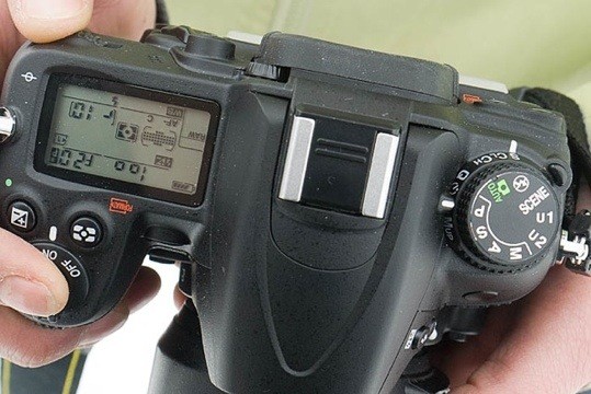 20111129-121327.jpg