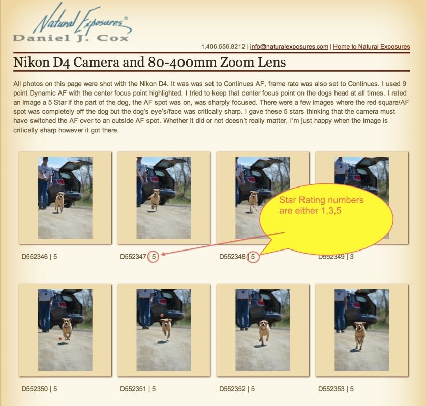 Star rating system shown on the web page galleries. 
