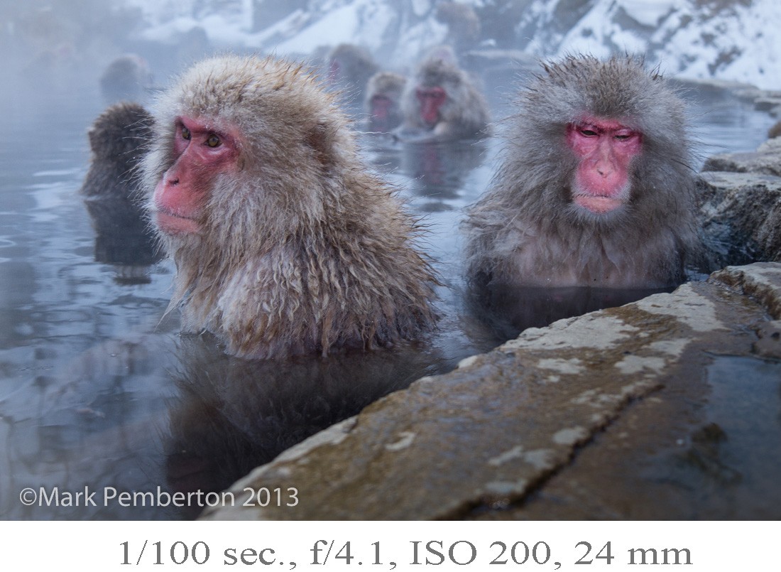 Panasonic Lumix 14-140mm Lens Review by NE Explorer Mark Pemberton