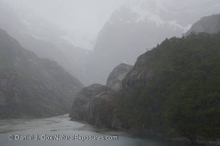 Fog hangs in the steep valleys leading in to Garibaldi Fjord.