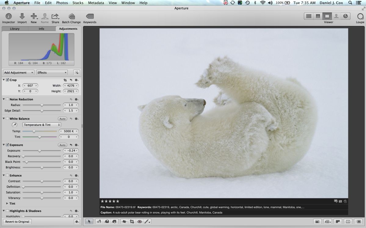 Overcast light with a white bear on white snow is guaranteed to fool your light meter. This example is from my Aperture Library and I included a view showing the histogram. You can see the same view of the histogram on your camera's LCD. Read the following information on what to look for.