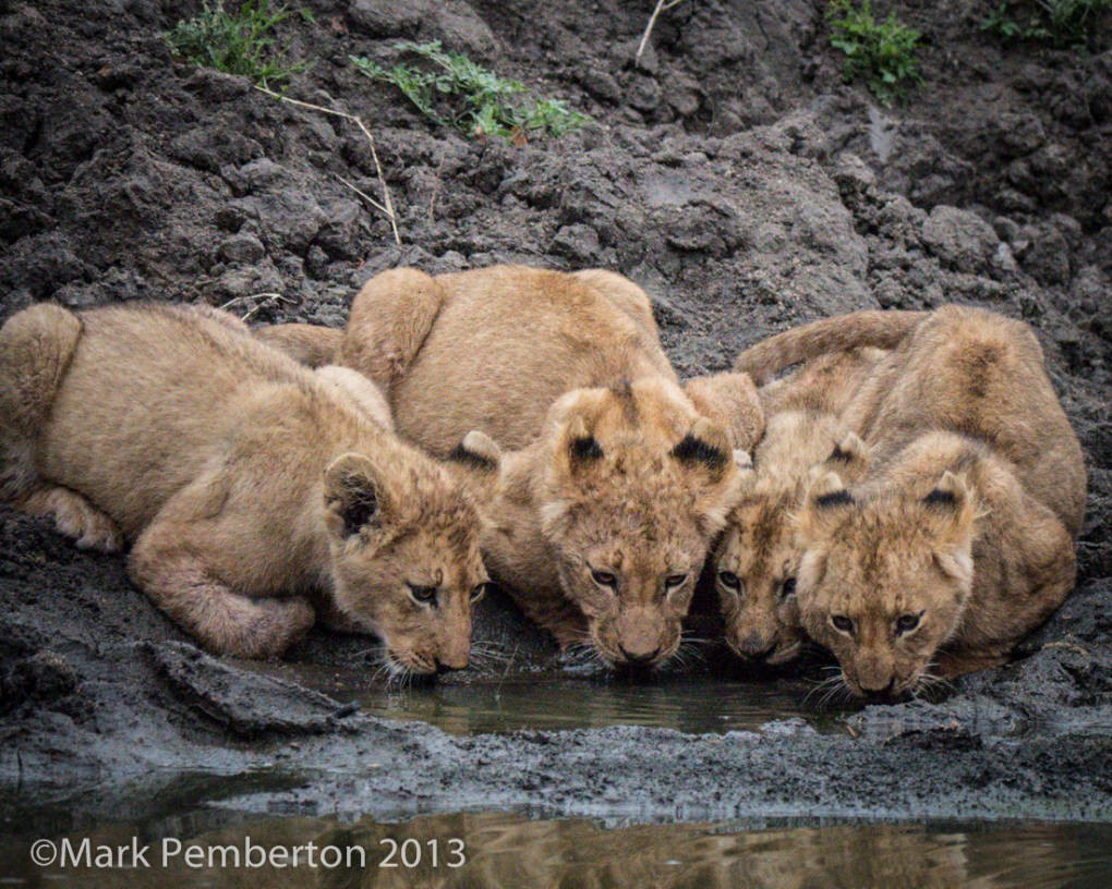 Nikon, Panasonic, Sigma Lens Test by NE Explorer Mark Pemberton