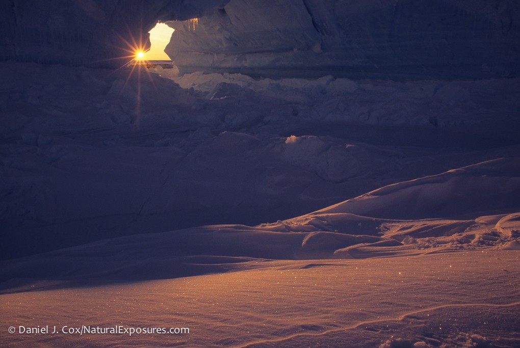 Scientists recently extracted microbes from a lake half a mile below Antarctic ice.