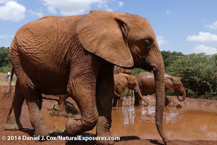 The Lumix Diaries Kenya 1/10/2015