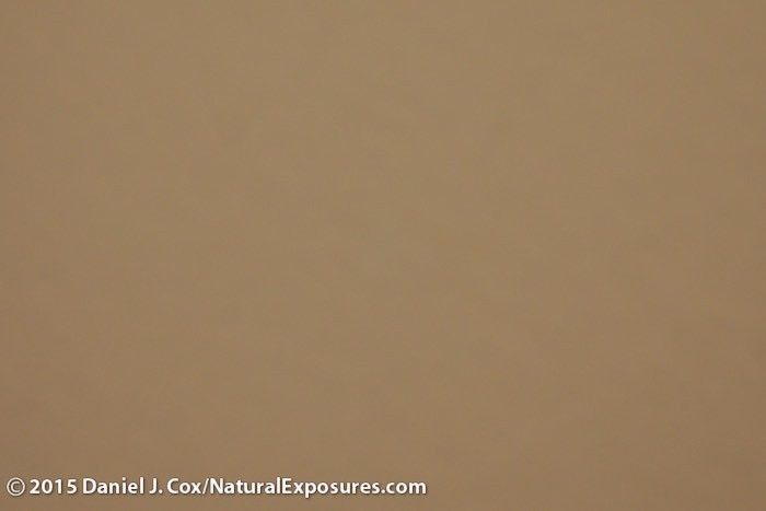 A final image of my newly cleaned sensor that took no more than maybe five minutes. 