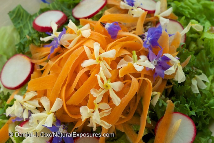 A salad made of local vegetables and edible flowers highlights the fresh, sustainable nature of Italy's Agritourism industry. 