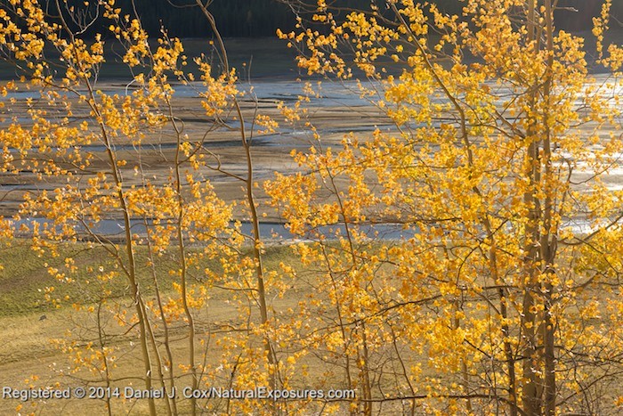 The Lumix Diaries Canadian Rockies Fall Colors Tour