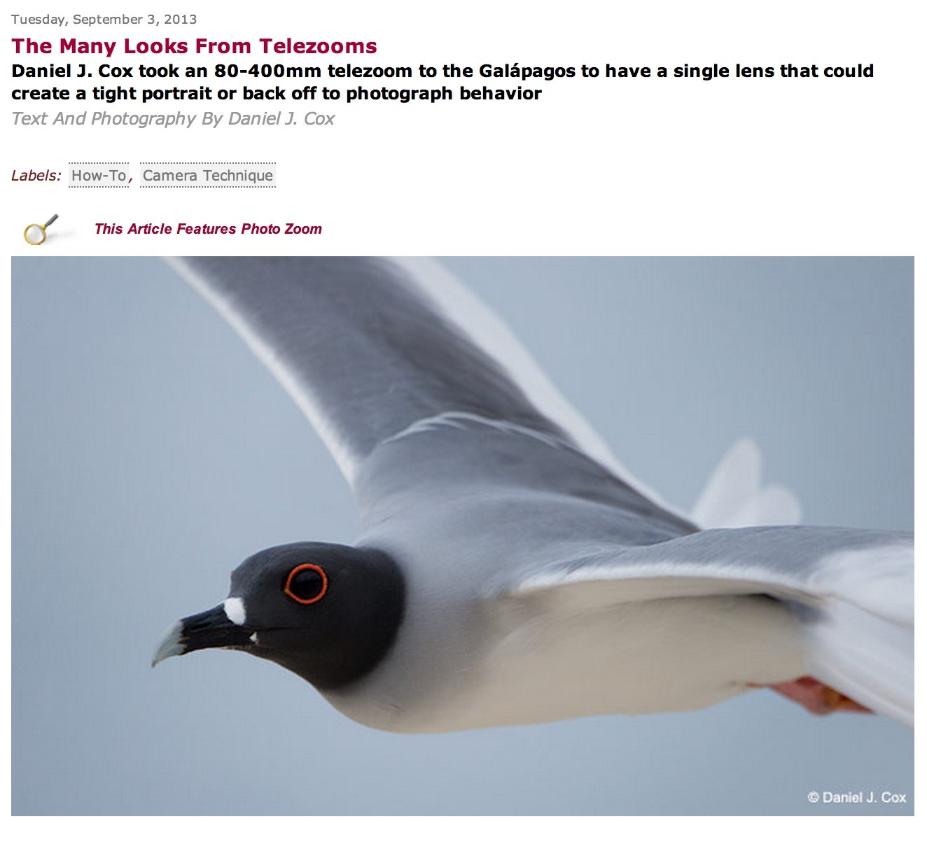 Outdoor Photographer Features Dan’s Work With New Nikon 80-400mm Zoom Lens