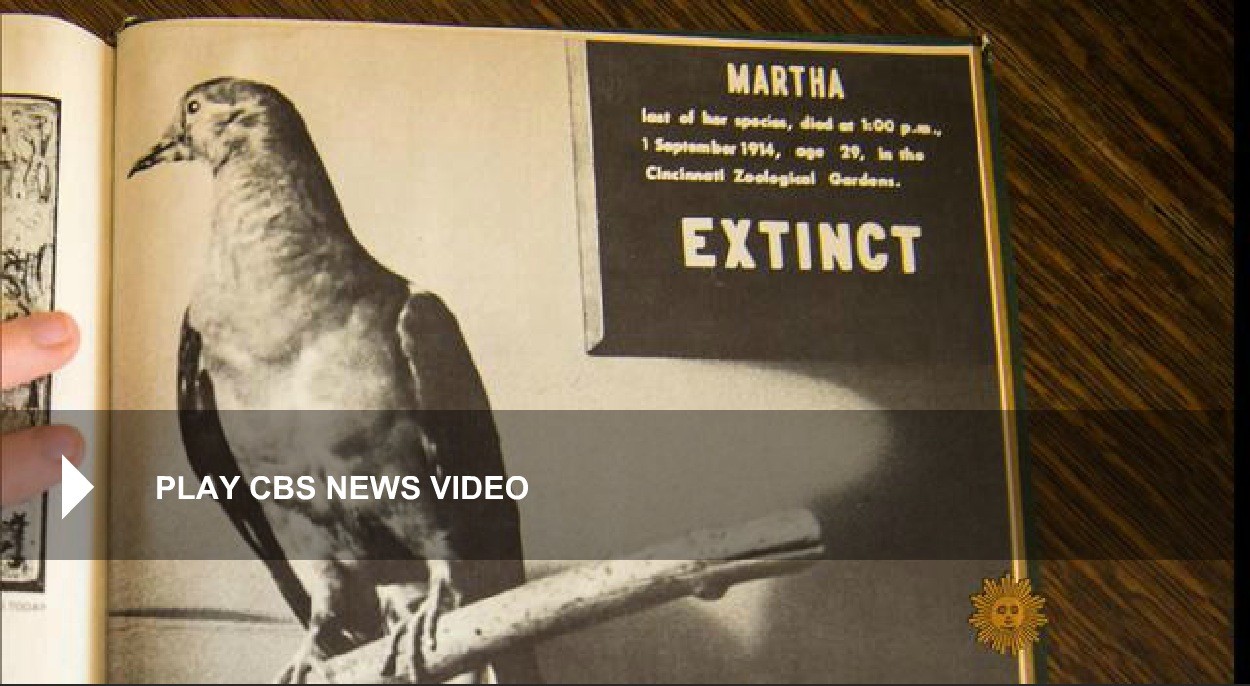 Photographer Joel Sartore on De-Extinction CBS Sunday Morning