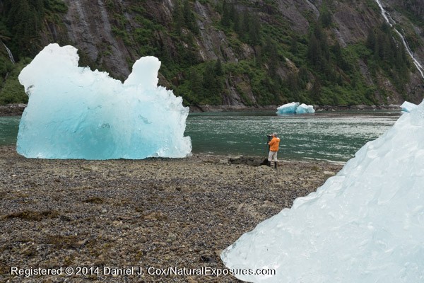 Glacial ice at low tide on the beach in SE Alaska.