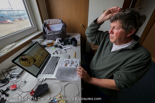 Denver Holt reviewing photos of snowy owls at the Owl Research Institute house in Barrow, Alaska. People,