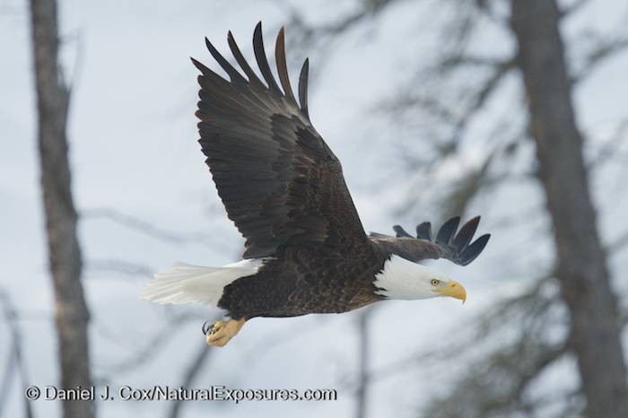 Yellowstone Photo Tour 2014 Trip #2 – Day 2