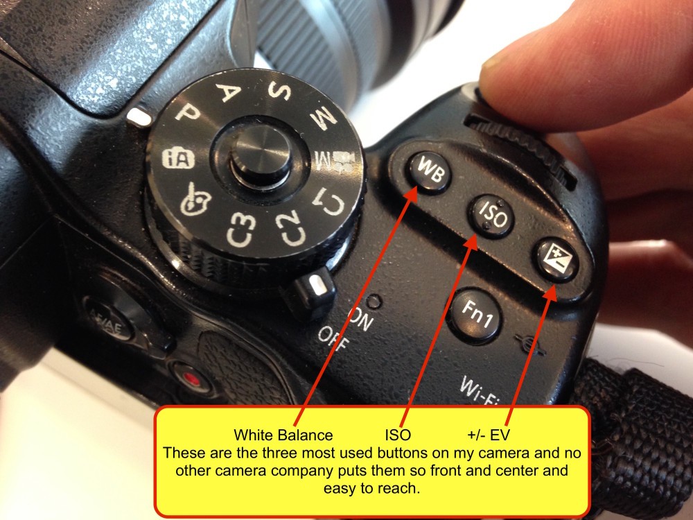 The Lumix GH4 and Even the earlier GH3 are the easiest cameras to use I have ever shot. These three buttons are something I use constantly and nobody places them in such an obvious and conventional place. Each can be used with the camera to your eye, during the shooting process. NOBODY does this better and this is an extremely important feature.