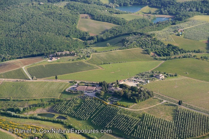 The rolling hills of the Tuscany region outside of Florence, Italy