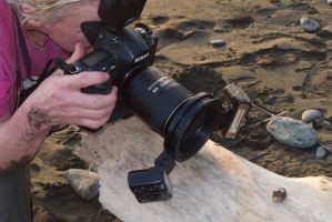 Carlotta moves in close for a shot of a hermit crab on the beach in Costa Rica.